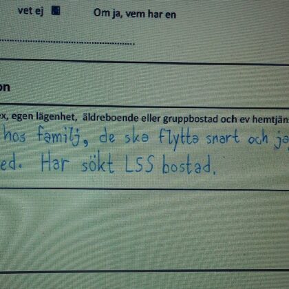 Петер е попълнил Молба за попечител от името и зад гърба на Румен