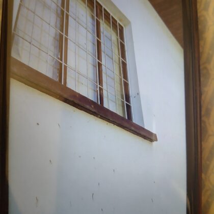 ул. "Първа" 59, как по северната фасада, 2020 г