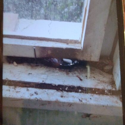 ул "Първа" 73, 🔥, пожарът 2012 г, мястото от което огънят е подхванал покрива