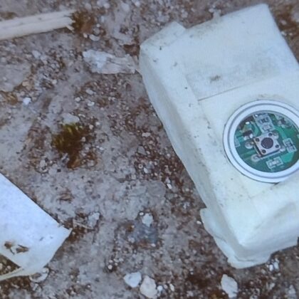 ул. "Първа" 59, спраскания с тояга звънец, част от копчето в средата вдясно, дърво от тояг