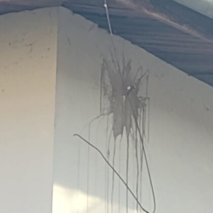 ул. "Първа" 59, магьосническо съседско яйце краси западната фасада от 2016 г насам