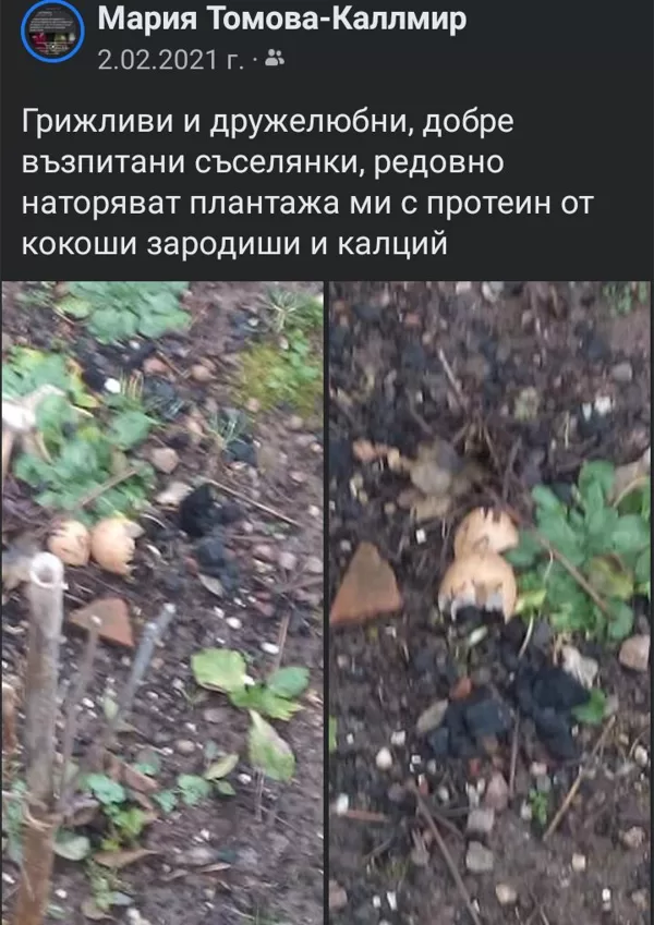 Двора ни на ул. "Първа" 59 в с Драганица
